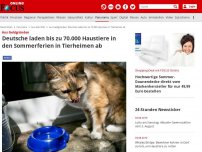 Bild zum Artikel: Aus Geldgründen - Deutsche laden bis zu 70.000 Haustiere in den Sommerferien in Tierheimen ab