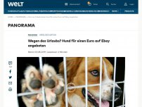 Bild zum Artikel: Wegen des Urlaubs? Hund für einen Euro auf Ebay angeboten