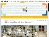 Bild zum Artikel: Ansturm in den Ferien: Bis zu 70.000 Tiere in Heimen abgegeben