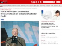 Bild zum Artikel: In Pressemitteilungen - Studie: AfD verzerrt systematisch Kriminalitäts-Zahlen und schürt Ausländer-Furcht