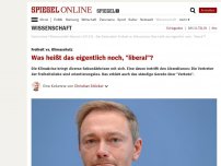 Bild zum Artikel: Freiheit vs. Klimaschutz: Was heißt das eigentlich noch, 'liberal'?