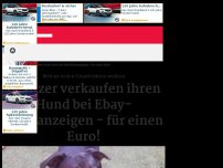 Bild zum Artikel: Besitzer verkaufen ihren Hund bei Ebay-Kleinanzeigen - für einen Euro!