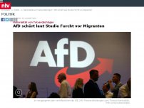 Bild zum Artikel: Nationalität von Tatverdächtigen: AfD schürt laut Studie Furcht vor Migranten