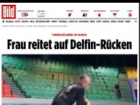 Bild zum Artikel: Tierquälerei in Dubai - Frau reitet auf Delfin-Rücken