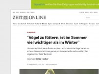 Bild zum Artikel: Artenschutz: 'Vögel zu füttern, ist im Sommer viel wichtiger als im Winter'