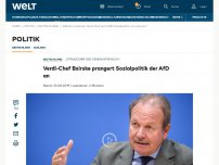 Bild zum Artikel: Verdi-Chef Bsirske prangert Sozialpolitik der AfD an