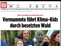 Bild zum Artikel: Klima-Greta im Hambacher Forst - Vermummte führt Klima-Kids durch besetzten Wald