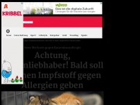 Bild zum Artikel: Achtung, Katzenliebhaber! Bald soll es einen Impfstoff gegen Allergien geben