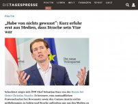 Bild zum Artikel: „Habe von nichts gewusst“: Kurz erfuhr erst aus Medien, dass Strache sein Vize war