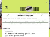 Bild zum Artikel: Planungsfehler : 61 Bäume für Radweg gefällt - der gar nicht gebaut wird