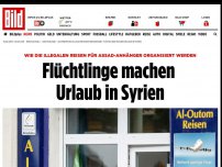 Bild zum Artikel: Die Organisation der illegalen Reisen - Flüchtlinge machen Urlaub in Syrien