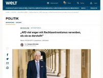 Bild zum Artikel: „AfD viel enger mit Rechtsextremismus verwoben, als sie es darstellt“