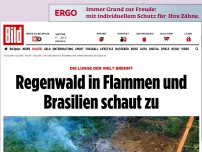 Bild zum Artikel: Die Lunge der Welt brennt - Regenwald in Flammen und Brasilien schaut zu