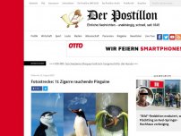 Bild zum Artikel: Fotostrecke: 71 Zigarre rauchende Pinguine