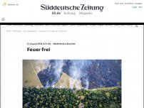 Bild zum Artikel: Waldbrand im Amazonas: Feuer frei