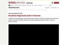 Bild zum Artikel: Schlimmste Brände seit 2013: Brasiliens Regenwald steht in Flammen