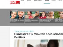 Bild zum Artikel: Treue bis zum Schluss: Hund Nero stirbt 15 Minuten nach seinem Besitzer