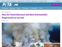 Bild zum Artikel: Was Ihr Fleischkonsum mit dem brennenden Regenwald zu tun hat