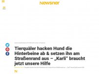 Bild zum Artikel: Tierquäler hacken Hund die Hinterbeine ab & setzen ihn am Straßenrand aus – „Karli“ braucht jetzt unsere Hilfe