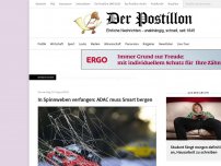 Bild zum Artikel: In Spinnweben verfangen: ADAC muss Smart bergen