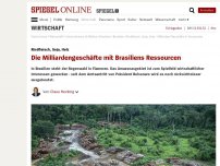 Bild zum Artikel: Rindfleisch, Soja, Holz: Die Milliarden-Geschäfte mit Brasiliens Ressourcen