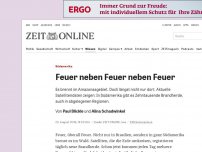 Bild zum Artikel: Südamerika: Feuer neben Feuer neben Feuer