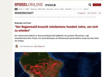 Bild zum Artikel: Brände im Amazonas: 'Der Regenwald braucht mindestens hundert Jahre, um sich zu erholen'