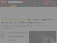 Bild zum Artikel: Was unser Hunger nach Steaks mit den Waldbränden zu tun hat