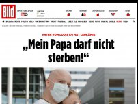 Bild zum Artikel: Louis (7) Vater hat Leukämie - „Mein Papa darf nicht sterben!“