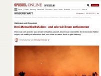 Bild zum Artikel: Waldbrände und Klimaschutz: Drei Menschheitsfallen - und wie wir ihnen entkommen