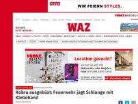 Bild zum Artikel: Gefährliche Schlange: Drei Häuser evakuiert: In Herne wird flüchtige Kobra gesucht