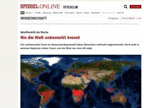 Bild zum Artikel: Satellitenbild der Woche: Wo die Welt unbemerkt brennt