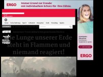 Bild zum Artikel: Amazonas: Die Lunge unserer Erde steht in Flammen und niemand reagiert!