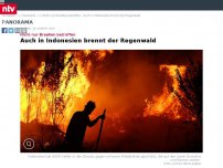 Bild zum Artikel: Nicht nur Brasilien betroffen: Auch in Indonesien brennt der Regenwald