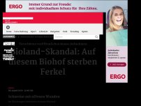 Bild zum Artikel: Bioland-Skandal: Auf diesem Biohof sterben die Ferkel