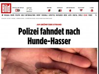 Bild zum Artikel: Am Grömitzer Strand - Polizei fahndet nach Hunde-Hasser