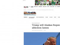 Bild zum Artikel: Für die Wirtschaft: Trump will Alaskas Regenwälder abholzen lassen