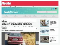 Bild zum Artikel: Mann bindet Hund an Auto, schleift ihn hinter sich her