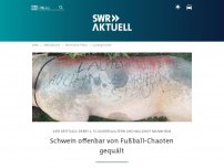 Bild zum Artikel: Schwein offenbar von Fußball-Fans gequält