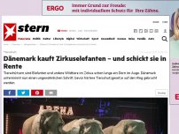 Bild zum Artikel: Tierschutz: Dänemark kauft Zirkuselefanten – und schickt sie in Rente