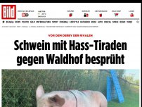 Bild zum Artikel: Vor dem Derby der Rivalen - Schwein mit Hass-Tiraden gegen Lautern besprüht