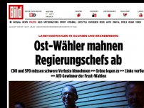 Bild zum Artikel: Rechts-Ruck bei Landtagswahlen im Osten - AfD-Beben in Brandenburg und Sachsen