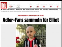 Bild zum Artikel: Krebs-Junge braucht Hilfe - Adler-Fans sammeln für Elliot