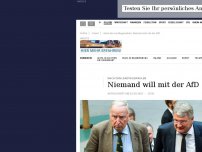 Bild zum Artikel: Nach den Landtagswahlen: Niemand will mit der AfD