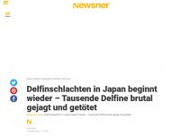 Bild zum Artikel: Delfinschlachten in Japan beginnt wieder – Tausende Delfine brutal gejagt und getötet