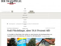 Bild zum Artikel: Null Flüchtlinge, aber 50,6 Prozent AfD