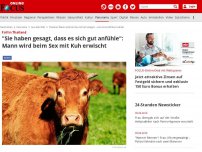 Bild zum Artikel: Fall in Thailand - 'Sie haben gesagt, dass es sich gut anfühle': Mann wird beim Sex mit Kuh erwischt