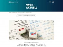 Bild zum Artikel: AfD und CDU bilden Fraktion in Frankenstein