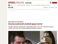 Bild zum Artikel: Nach Anzeige von Carola Rackete: Staatsanwaltschaft ermittelt gegen Salvini