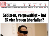 Bild zum Artikel: Vier Überfälle an drei Tagen - Bissiger Vergewaltiger von Babenhausen vor Gericht